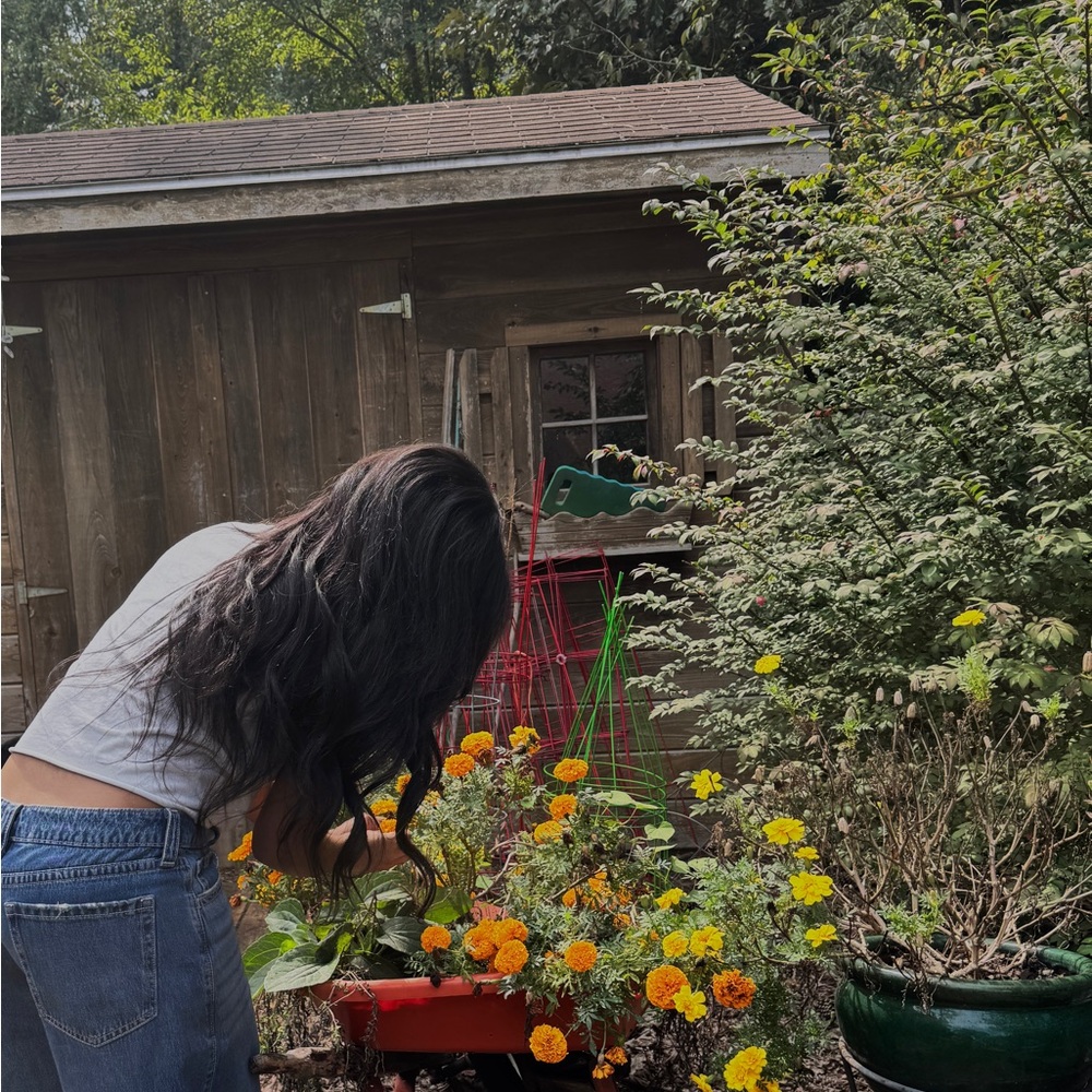 Meet your Posher, Ashlynn